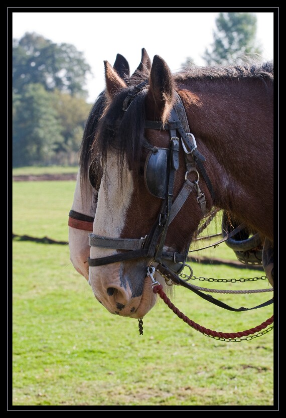 IMG_4925 EOS-1D Mark III
